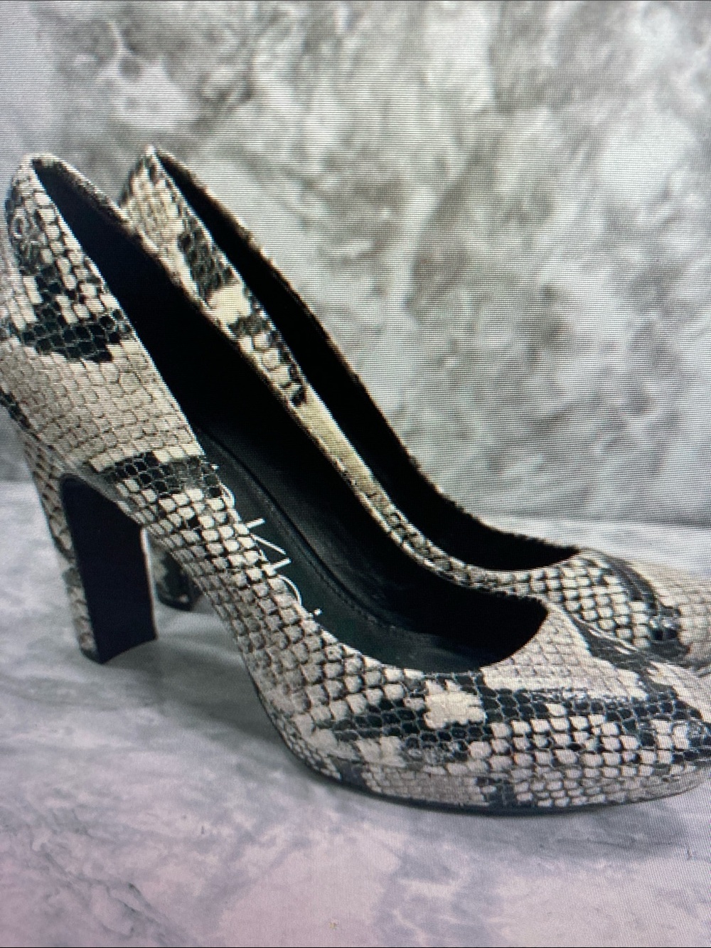 Snake-Print High Heel Pumps in Black and Cream